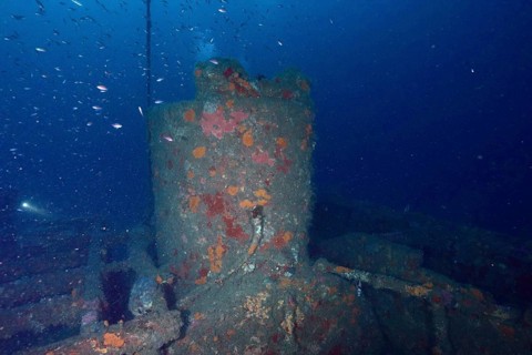 Corridor tower of a shipwreck surrounded by fish. Dive site wreck Ville de Grasse, Giens peninsula,