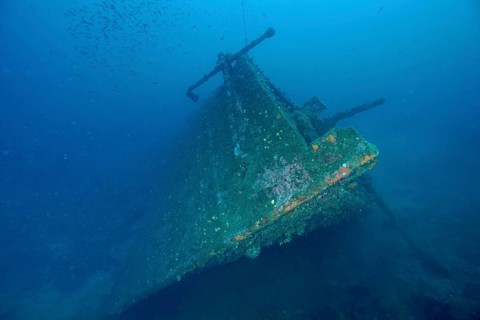 A shipwreck rests peacefully on the seabed, overgrown with green algae. Dive site Wreck Michel C,