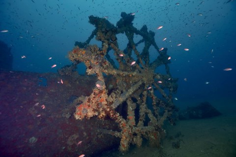 Underwater image of a decayed paddle wheel of a shipwreck, surrounded by fish. Dive site wreck