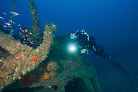 Diver exploring a colourful shipwreck with a torch in her hand. Dive site wreck Michel C, Giens