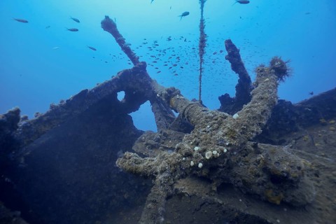 Overgrown anchor of a shipwreck with small fish swimming in the blue water. Dive site wreck Michel