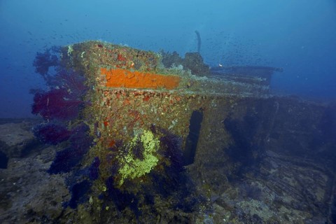 Part of a rusty shipwreck on the seabed surrounded by Violescent sea-whips (Paramuricea clavata)