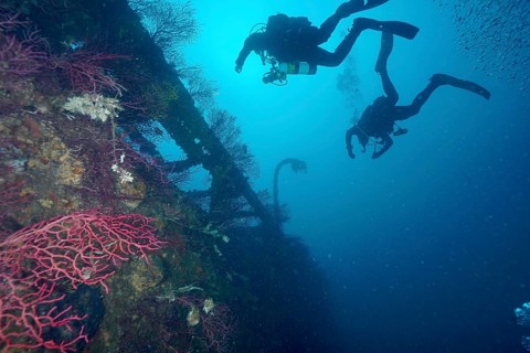 Two divers explore an overgrown shipwreck in deep blue water. Dive site wreck Le Donator, Giens