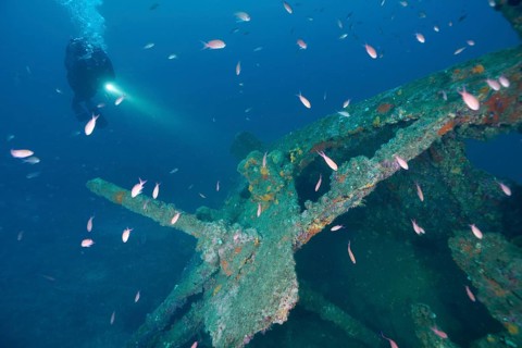 Diver illuminates a part of a shipwreck surrounded by fish with a torch. Dive site wreck Michel C,
