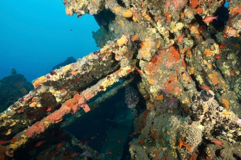 Debris of a shipwreck with bright colours and migrating fish. Dive site wreck Michel C, Giens