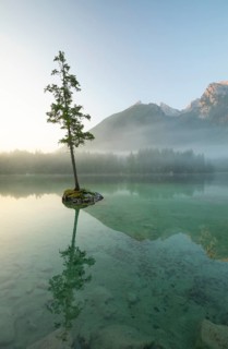 Magical sunrise with fog at Hintersee near Ramsau in Berchtesgadener Land