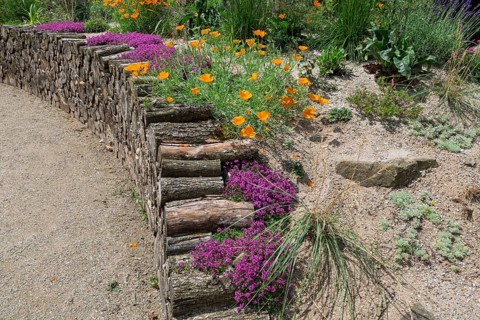 District educational garden, Burgsteinfurt, Münsterland, North Rhine-Westphalia, Germany