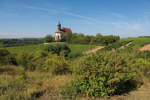 Pilgrimage church Maria im Weingarten, on a small hill, surrounded by extensive vineyards and lush