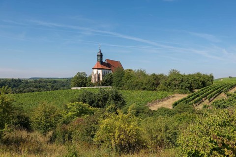 Pilgrimage church Maria im Weingarten, on a hill surrounded by vineyards and trees under a blue
