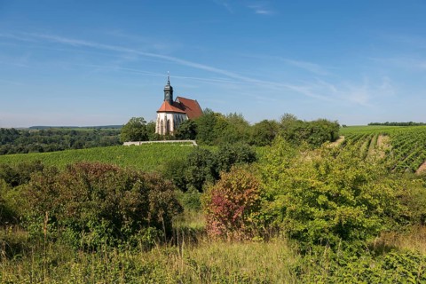 An idyllic summer landscape with the pilgrimage church Maria im Weingarten, nestled between