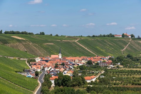 Escherndorf surrounded by hills and vineyards with a church and red roofs under a blue sky, near