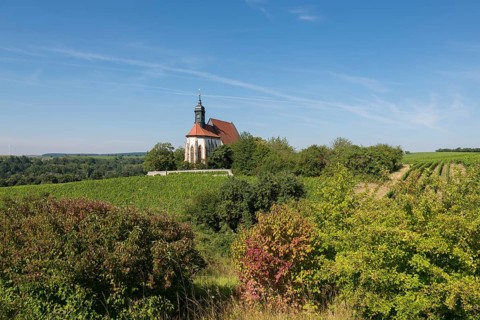 Panoramic view over the pilgrimage church Maria im Weingarten, surrounded by green vineyards and