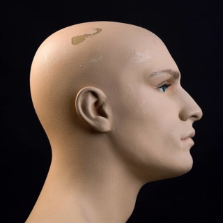 This head dummy features a lifelike profile view of a male figure. The surface displays minor