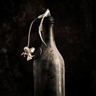 A faded tulip is elegantly positioned in an old bottle, showcasing its delicate petals. The