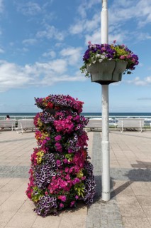 Lush floral decoration on the beach promenade, Baltic resort Kühlungsborn, Baltic Sea,