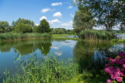 Fish ponds, Fischers Land Boek, Mecklenburg Lake District, Mecklenburg-Western Pomerania, Germany