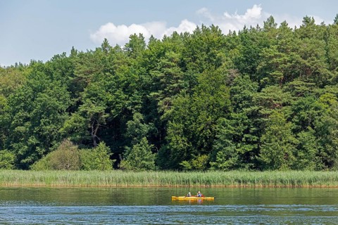 Canoe, Zotzensee, Mecklenburg Lake District, Mecklenburg-Western Pomerania, Germany