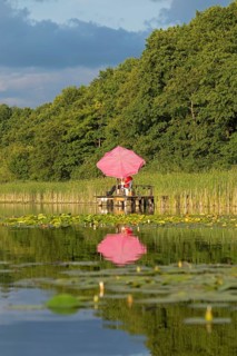 Parasol, reflection, Leppinsee, Rechlin, Mecklenburg Lake District, Mecklenburg-Western Pomerania,