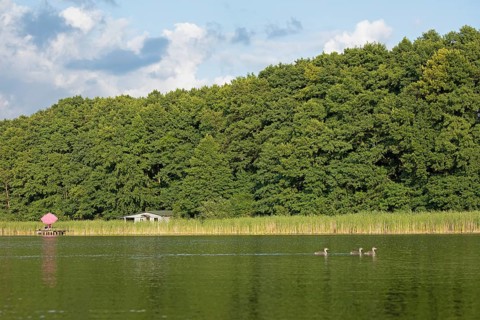 Parasol, holiday home, young great crested grebe (Podiceps Scalloped ribbonfish), Leppinsee,