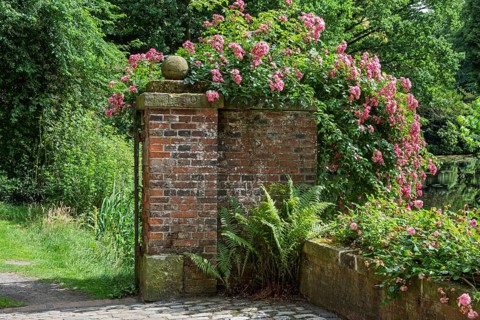 Brick wall and gate pillars covered with blooming roses and ferns in a tranquil natural setting,