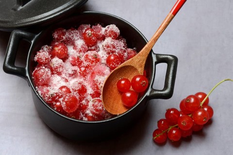 Redcurrants with sugar in pots, Ribes rubrum