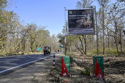 Shield Wildlife Crossing, Corbett National Park, near Ramnagar, Uttarakhand State, India