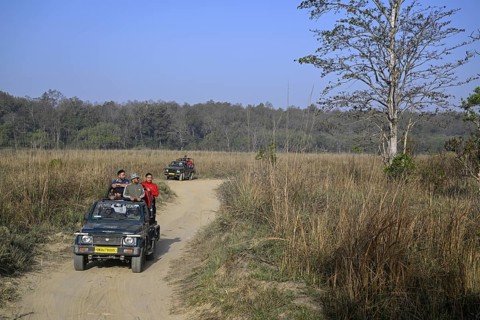 Safari vehicles, Gypsys, Corbett National Park, near Ramnagar, Uttarakhand State, India