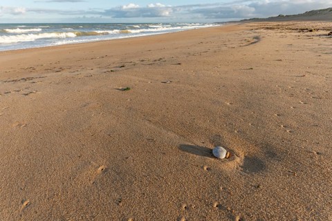 Soft golden sand stretches along the shore as gentle waves lap at the coastline during sunset,