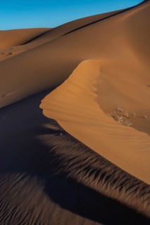 Golden sand dunes rise dramatically against a clear blue sky at sunset. The shadows emphasise the