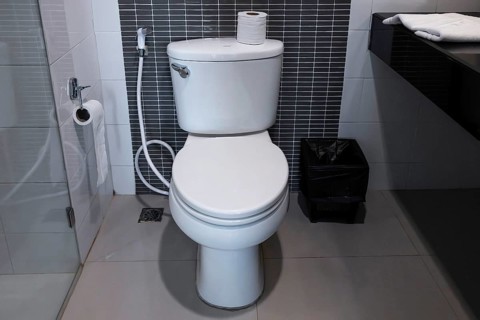 Bath Toilet