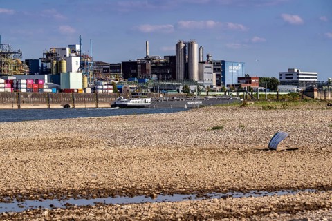 Low water of the Rhine near Leverkusen, Rhine bank, left bank of the Rhine, near Cologne-Merkenich,