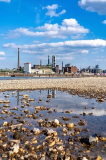 Low water of the Rhine near Leverkusen, Rhine bank, left bank of the Rhine, near Cologne-Merkenich,