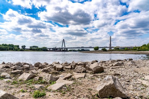 Low water level of the Rhine at Leverkusen, new Rhine bridge on the A1 motorway, extremely low