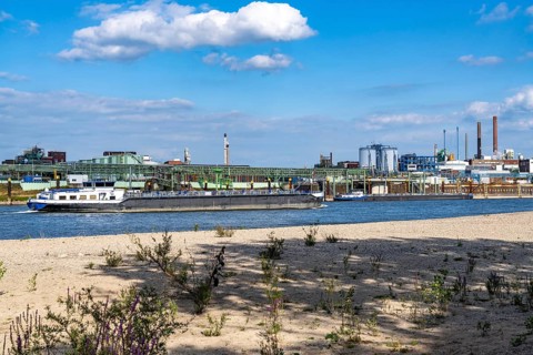 Low water of the Rhine near Leverkusen, Rhine bank, left bank of the Rhine, near Cologne-Merkenich,