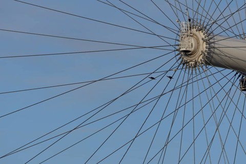Great cormorant (Phalacrocorax carbo) two adult birds flying pass the spokes of the London Eye,