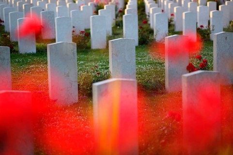 Gravestones, war graves, soldiers' graves, flowers, roses, British and German military cemetery,
