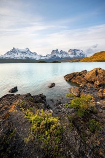 Shore of the blue lake Lago Pehoe in the evening light, Cuernos del Paine mountain range, Torres