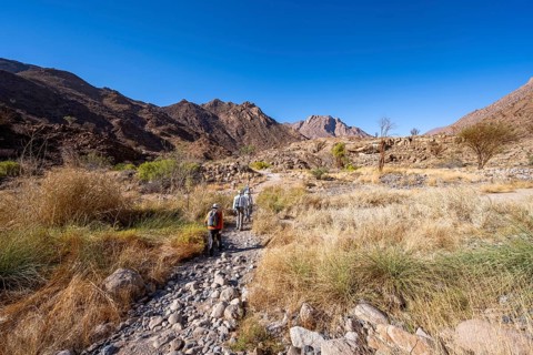 Tourists on a hiking trail in the Tsisab Gorge, White Lady Trail, desert landscape, Brandberg,