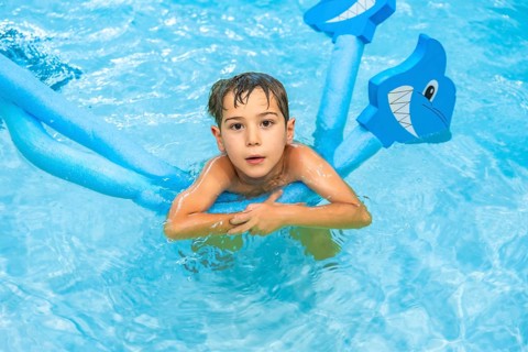 Young boy playing with a shark shaped pool noodle float in a blue swimming pool, enjoying his