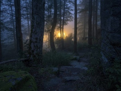 Dark forest with fog at dusk, the lights of a lonely house shine mysteriously out of the darkness,