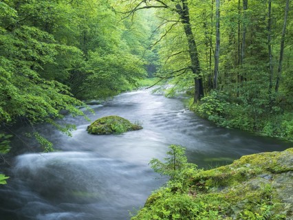 White water and rapids on the Trieb stream in the Triebtal nature reserve in Vogtland, Plauen,