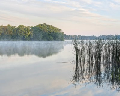 Still lake with reeds in the morning light, morning mist rising, Märkische Schweiz nature park