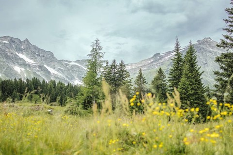 View of Hohe Sonnblick, Kolm Saigurn, Rauris, Pinzgau, Salzburg, Austria