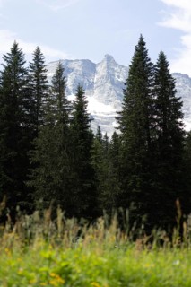 View of the Hoher Sonnblick, Rauris, Pinzgau, Salzburg, Austria