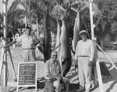 Striped marlin (Kajikia audax), three sport fishermen in la Paz, Baja California Sur, 1954
