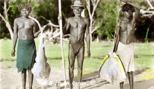 Aboriginals with catch, probably a small white-spotted stingray (Rhynchobatus australiae) and an