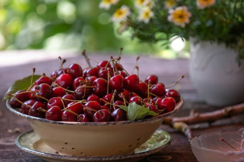 Fresh sweet cherries (Prunus avium) in a bowl, Bavaria, Germany