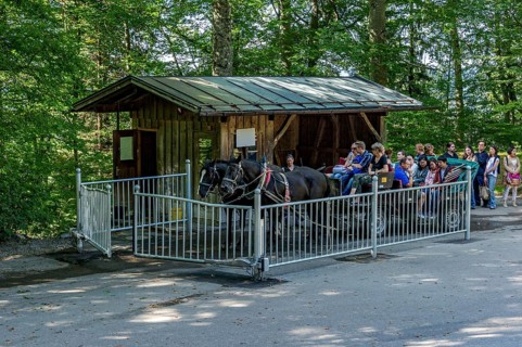 Mountain station, horse-drawn carriage stop for tourists at Neuschwanstein Castle, fairytale castle