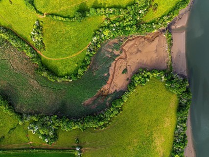 Top Down over Marshes over River Dart from a drone, Stoke Gabriel, Totnes, Devon, England, United