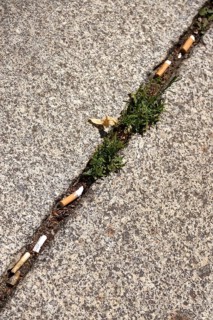 Discarded cigarette butts, footpath, Germany